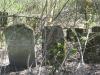 Tombstones at Kupel's Jewish cemetery